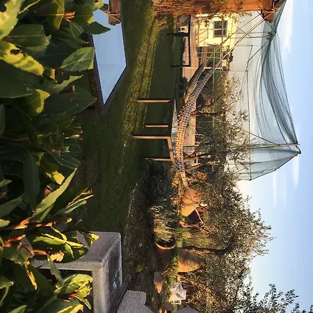 בית הארחה Bbriccione ריצ'יונה